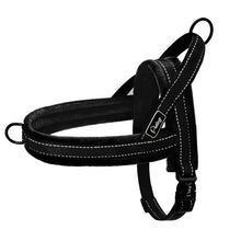 Frenchie Soft Padded Harness