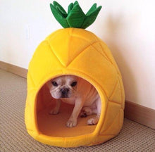 Pineapple Pet Bed