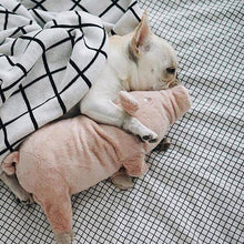 Plush Pig