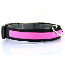 Glow-In-The-Dark LED Safety Collar