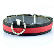 Glow-In-The-Dark LED Safety Collar