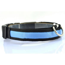 Glow-In-The-Dark LED Safety Collar