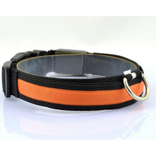 Glow-In-The-Dark LED Safety Collar