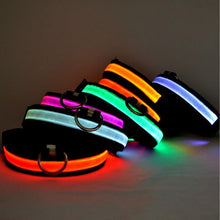 Glow-In-The-Dark LED Safety Collar