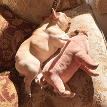 Plush Pig