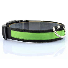 Glow-In-The-Dark LED Safety Collar