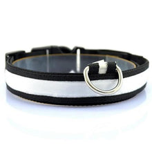 Glow-In-The-Dark LED Safety Collar