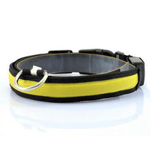 Glow-In-The-Dark LED Safety Collar