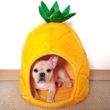 Pineapple Pet Bed